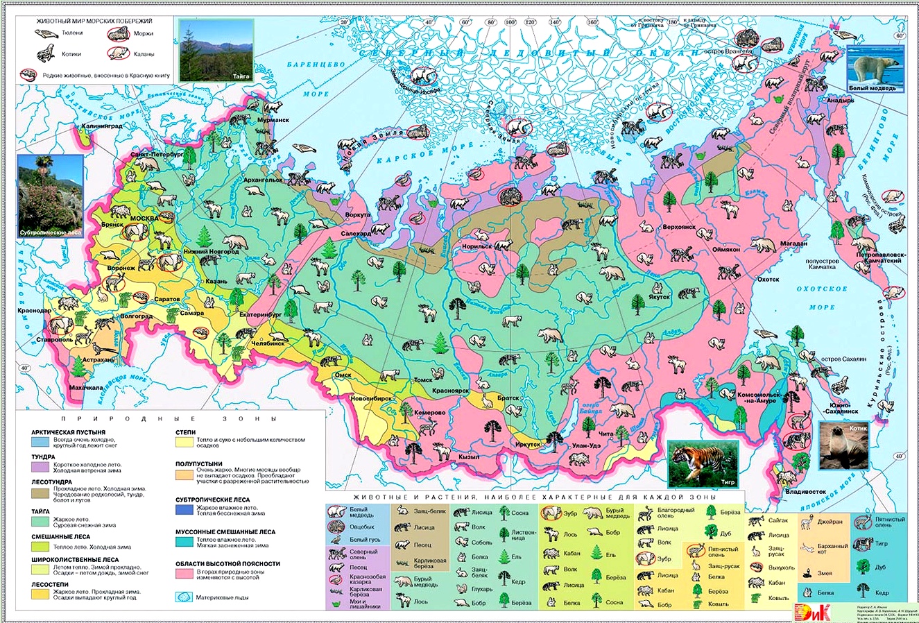 Растительный и животный мир России