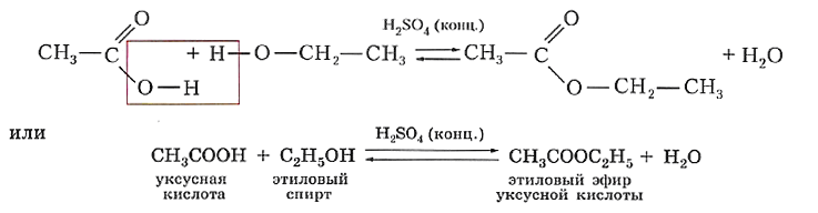 При реакции кислот и спирта образуются. Практическая работа номер 3 получение и свойства карбоновых кислот.